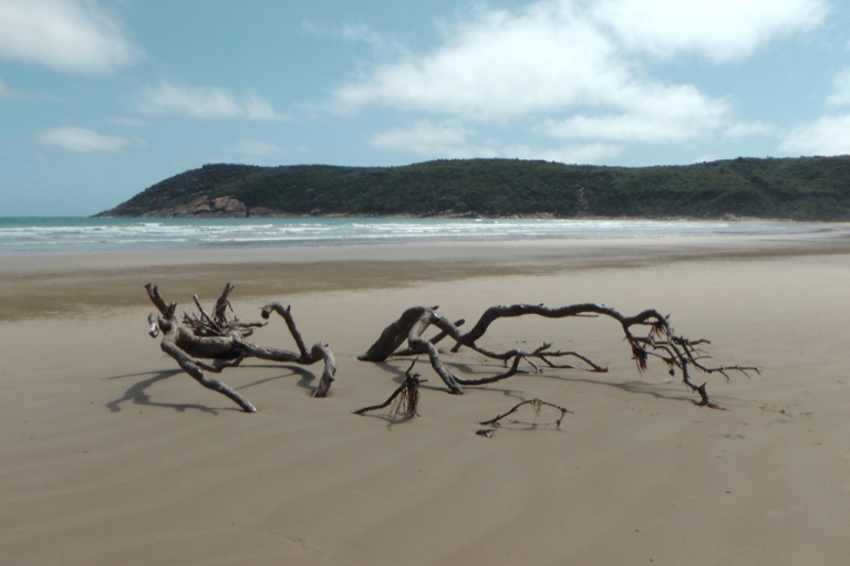 South Norman Bay